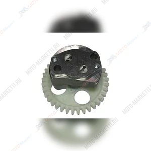 Насос масляный ZS 172FMM-5 в сборе с шестерней (100081733)