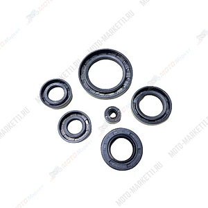 Набор сальников двигателя 169FMМ