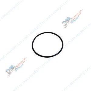 Кольцо уплотнительное коллектора малое Буран 110500107