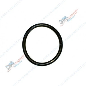 Кольцо уплотн.коллект. мал.