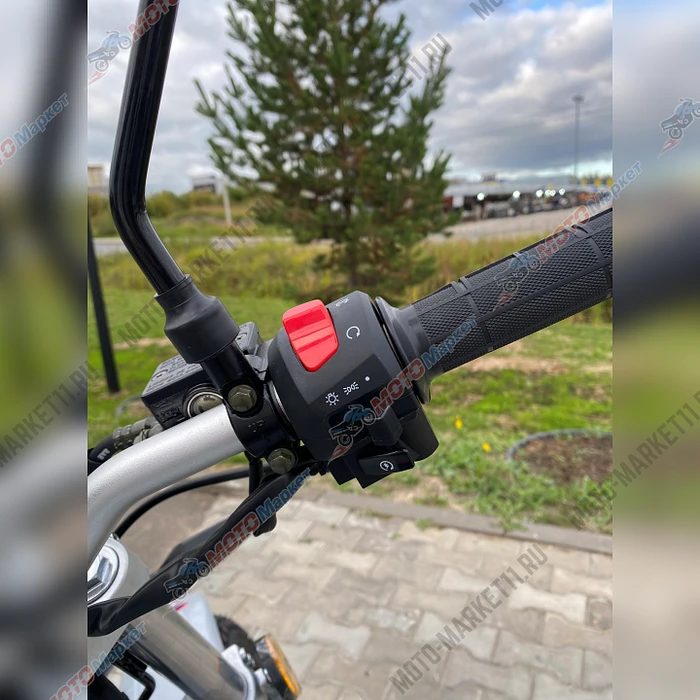 безымянный-6