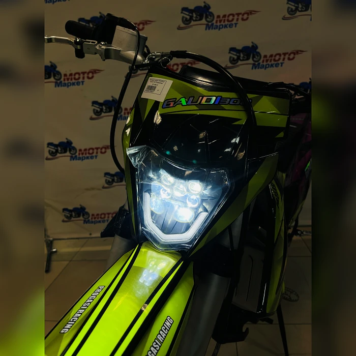 Мотоцикл эндуро PROGASI GAUDI 300 Purple/Green