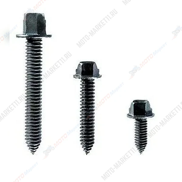 безымянный-1-14