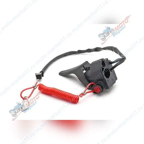 безымянный-1-31