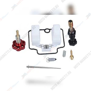 Ремкомплект карбюратора Nibbi PE24FL