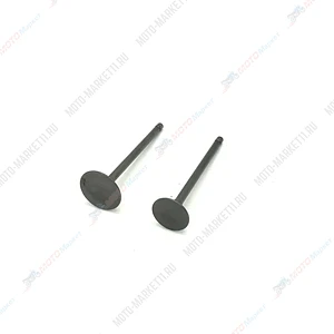 Клапаны (впуск/выпуск) 156FMI, 157FMI