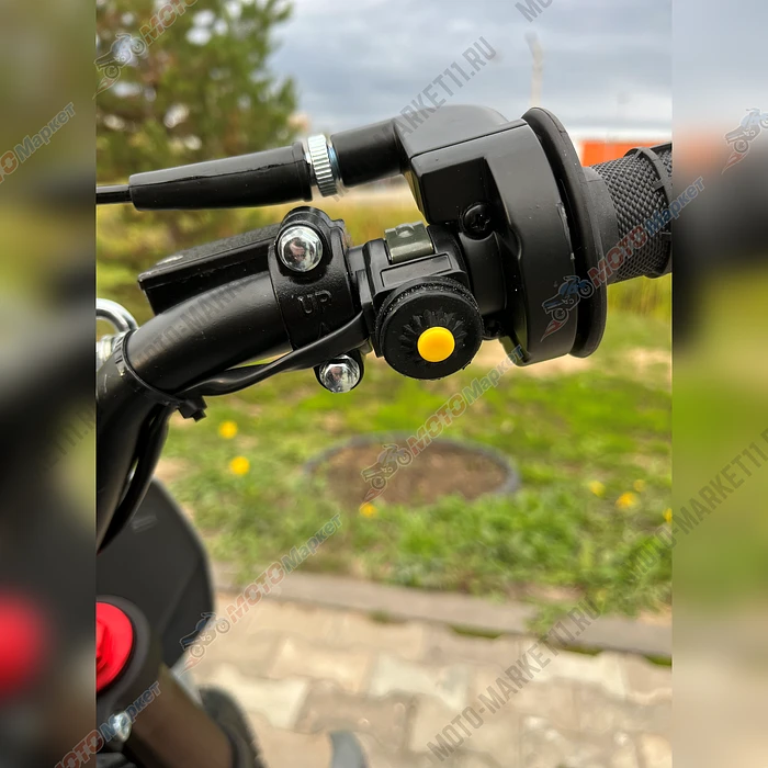 безымянный-1-5