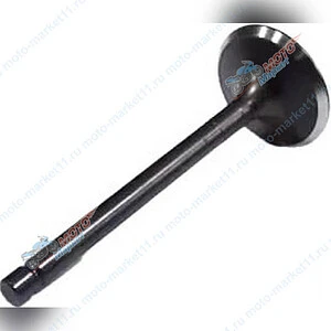 Клапан впускной Lifan KP460 39516