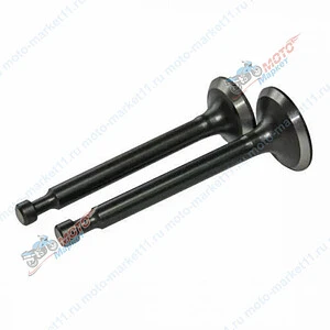 Клапан впускной/выпускной 173F 