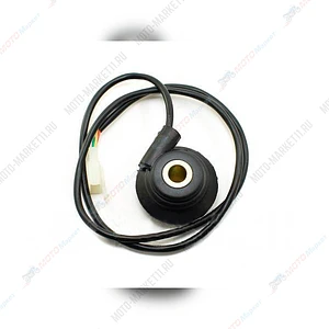 Привод спидометра электрон. Sirius 