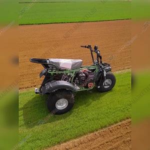 Мотоцикл внедорожный Скаут Сафари-3LЕ-8 Тритон 2 46511