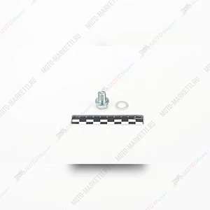 Болт картера сливной+прокладка 139FMB,147FMH,152FMH 50-125см3