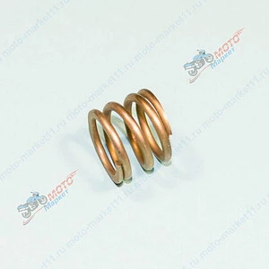 Пружина шкворня 