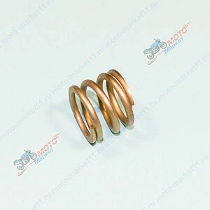 Пружина шкворня 