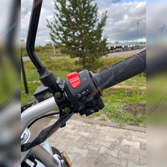 безымянный-6