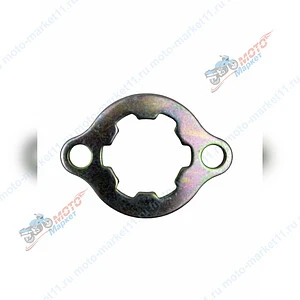 Шайба ведущей звезды 1P57F