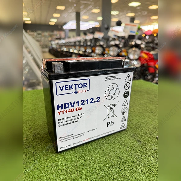 Аккумулятор  VEKTOR PLUS HDV 1212.2