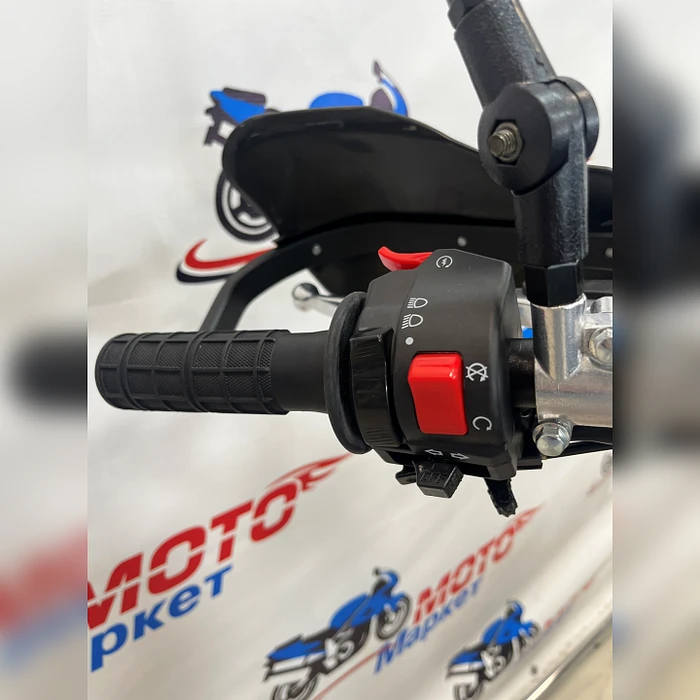 Мотоцикл Regulmoto Sport-003 PR 300 сс 6 передач (зеленый/черный)