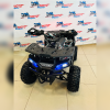 Квадроцикл BSE XT-1U Black  арт. BXTUDF015KHH1