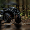 Квадроцикл Loncin XWOLF 700L MUD желтый